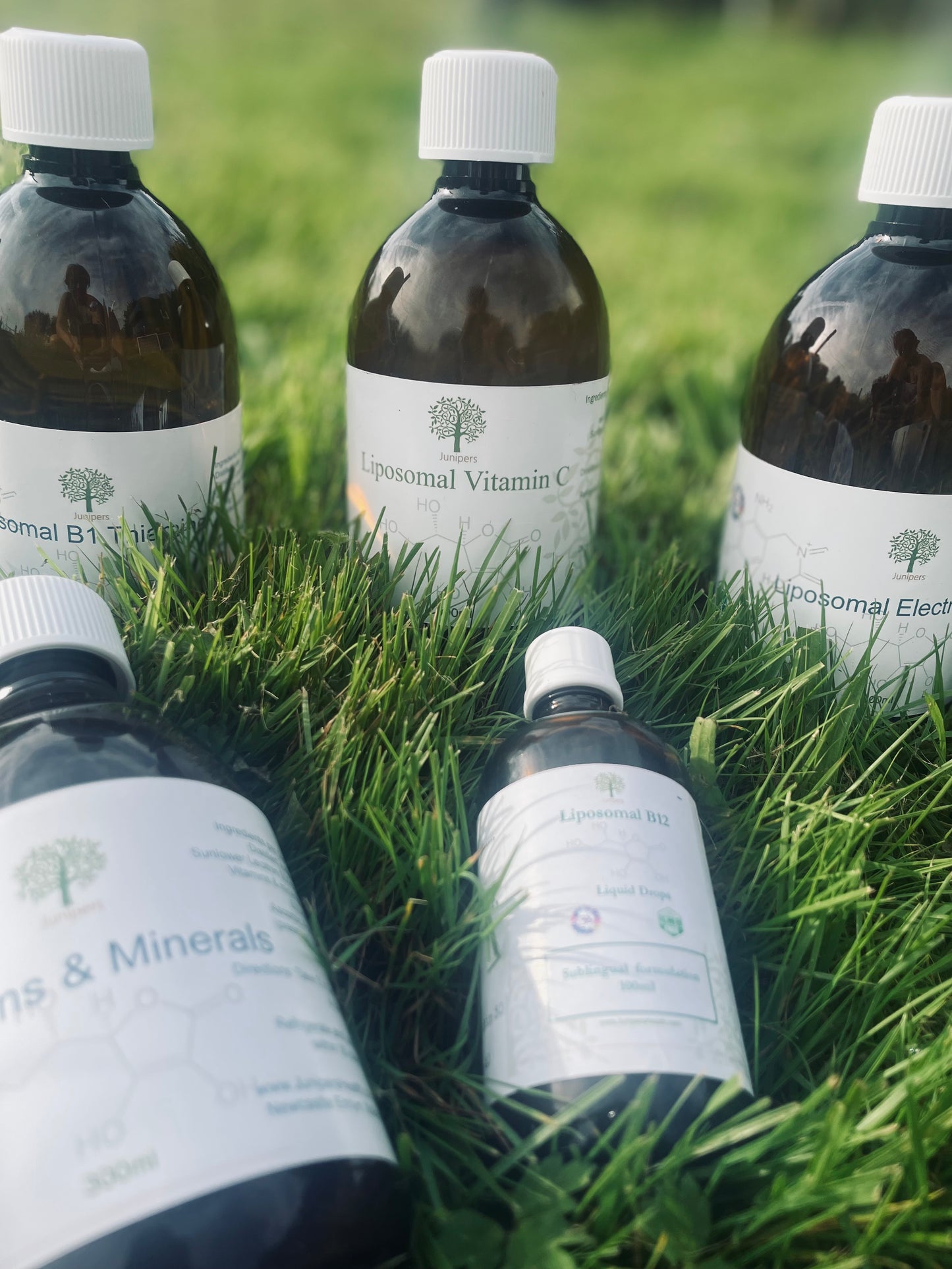 Liposomal Collagen High Strength With Added Vitamin C 300ml